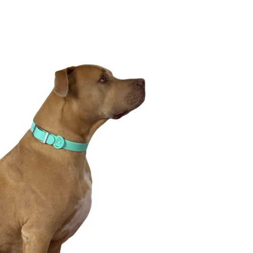 Waterproof odour proof Collars