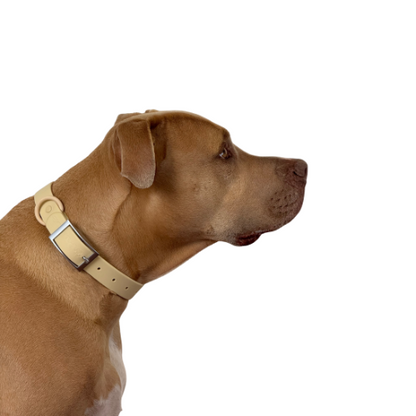 Waterproof odour proof Collars