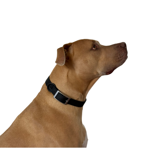 Waterproof odour proof Collars