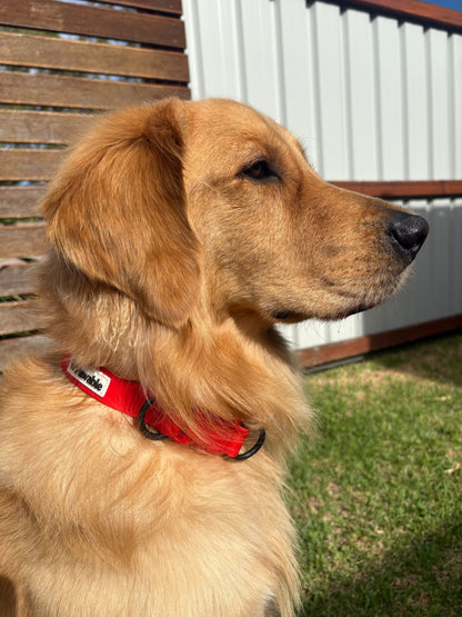 Quick release Collar