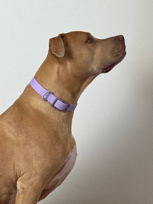 Waterproof odour proof Collars