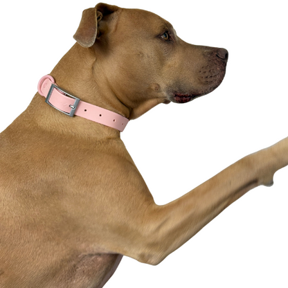 Waterproof odour proof Collars